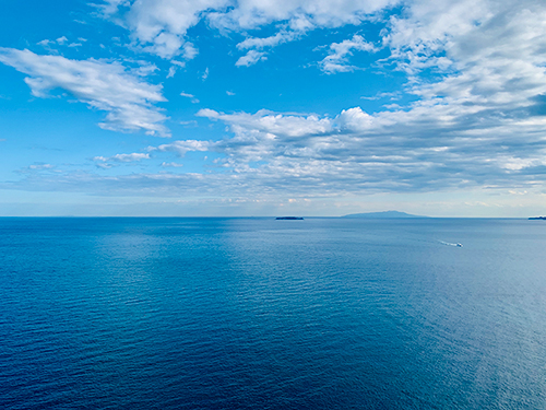 H�@�v���W�F�N�g