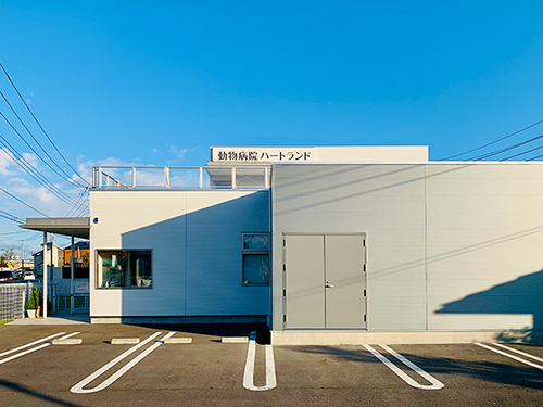 �����a�@�n�[�g�����h �A�l�b�N�X