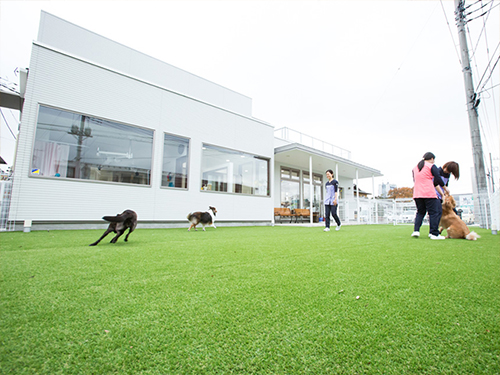 �����a�@�n�[�g�����h �A�l�b�N�X