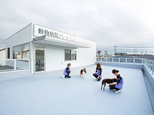 �����a�@�n�[�g�����h �A�l�b�N�X