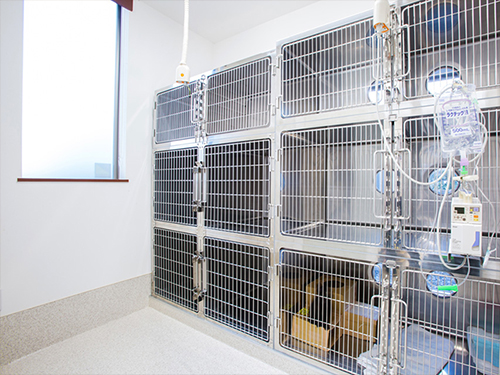 �����a�@�n�[�g�����h �A�l�b�N�X