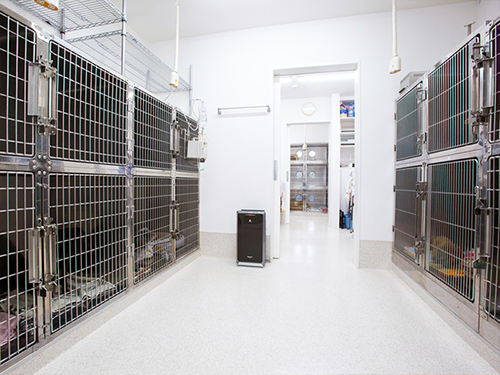 �����a�@�n�[�g�����h �A�l�b�N�X