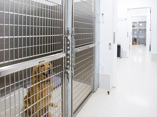 �����a�@�n�[�g�����h �A�l�b�N�X