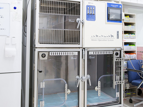 �����a�@�n�[�g�����h �A�l�b�N�X