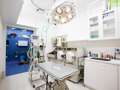 �����a�@�n�[�g�����h �A�l�b�N�X