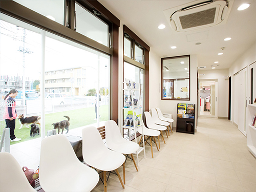 �����a�@�n�[�g�����h �A�l�b�N�X