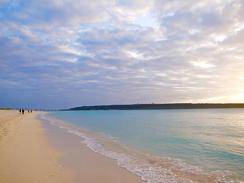 �{�Ó��v���W�F�N�g