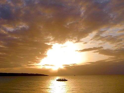 �{�Ó��v���W�F�N�g