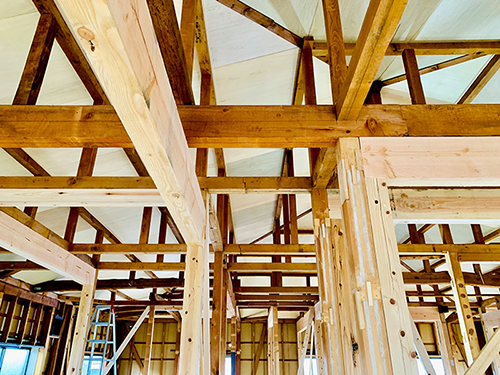 M-SPO�A�l�b�N�X�v���W�F�N�g