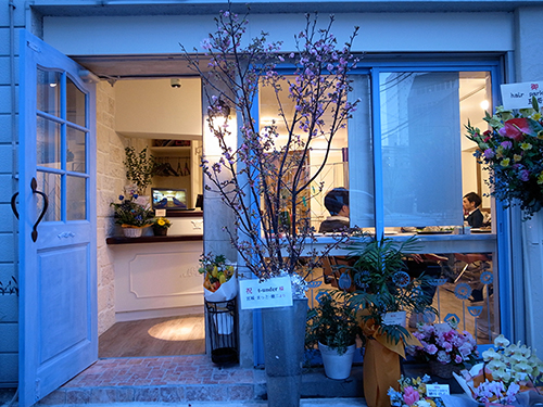 hair park�ut-under�v