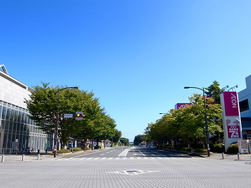 ���C�����n�� �n��v��v���W�F�N�g