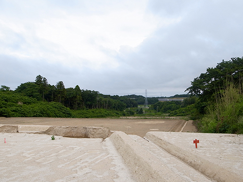 ���C�����n�� �n��v��v���W�F�N�g