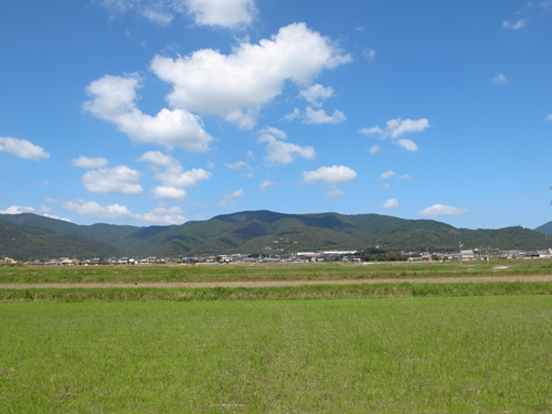 �����v���W�F�N�g