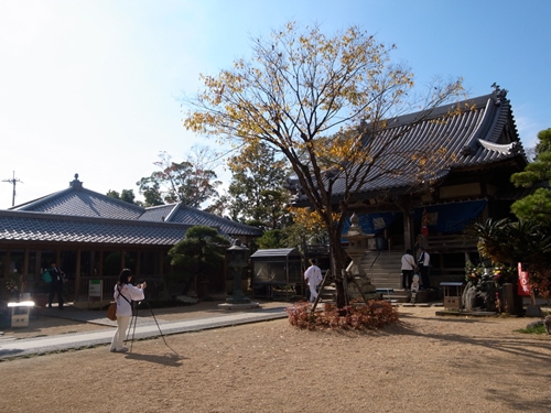 �����v���W�F�N�g