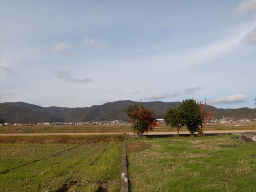 �����v���W�F�N�g