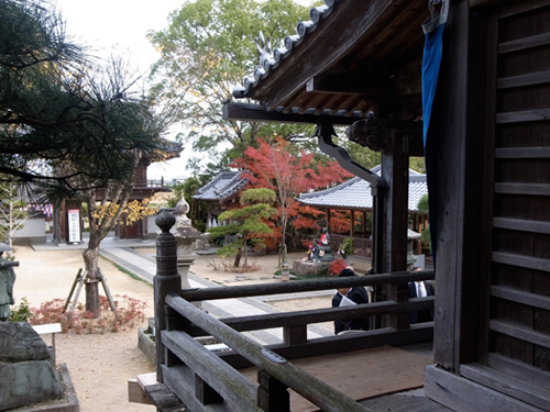 �����v���W�F�N�g