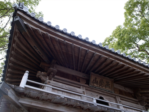 �����v���W�F�N�g