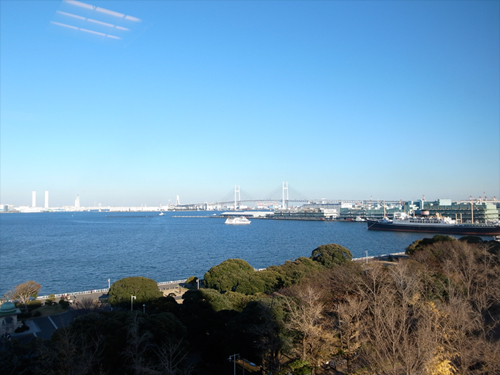 �R�����v���W�F�N�g